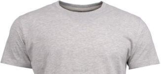 T-shirt AMERICAN U kolor szary HARVEST - 2